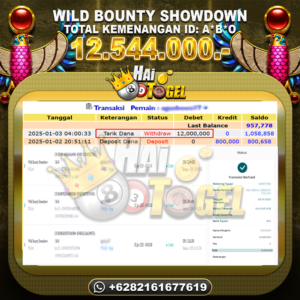 Read more about the article HAITOGEL SLOT GACOR PASTI WILD BOUNTY SHOWDOWN RP. 12.544.000